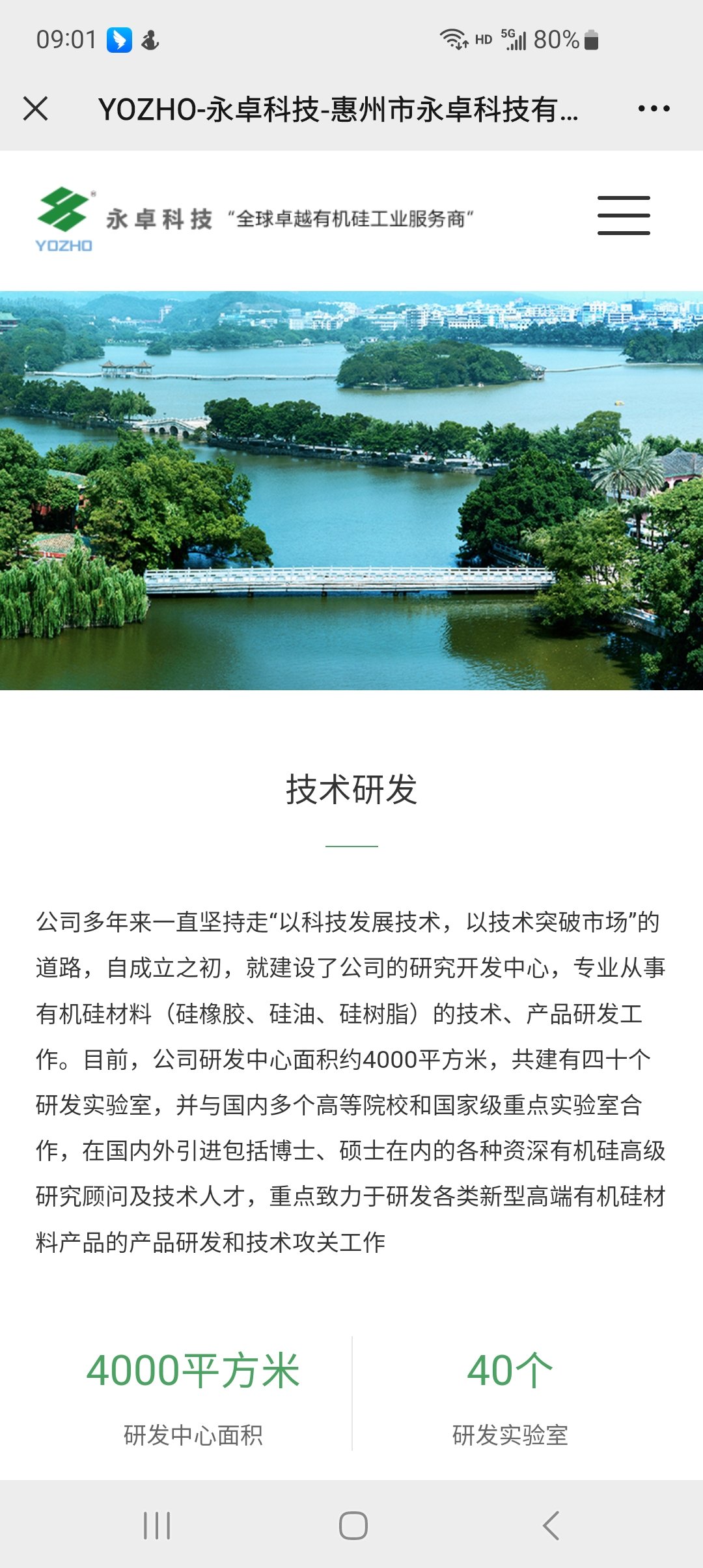 離型硅油